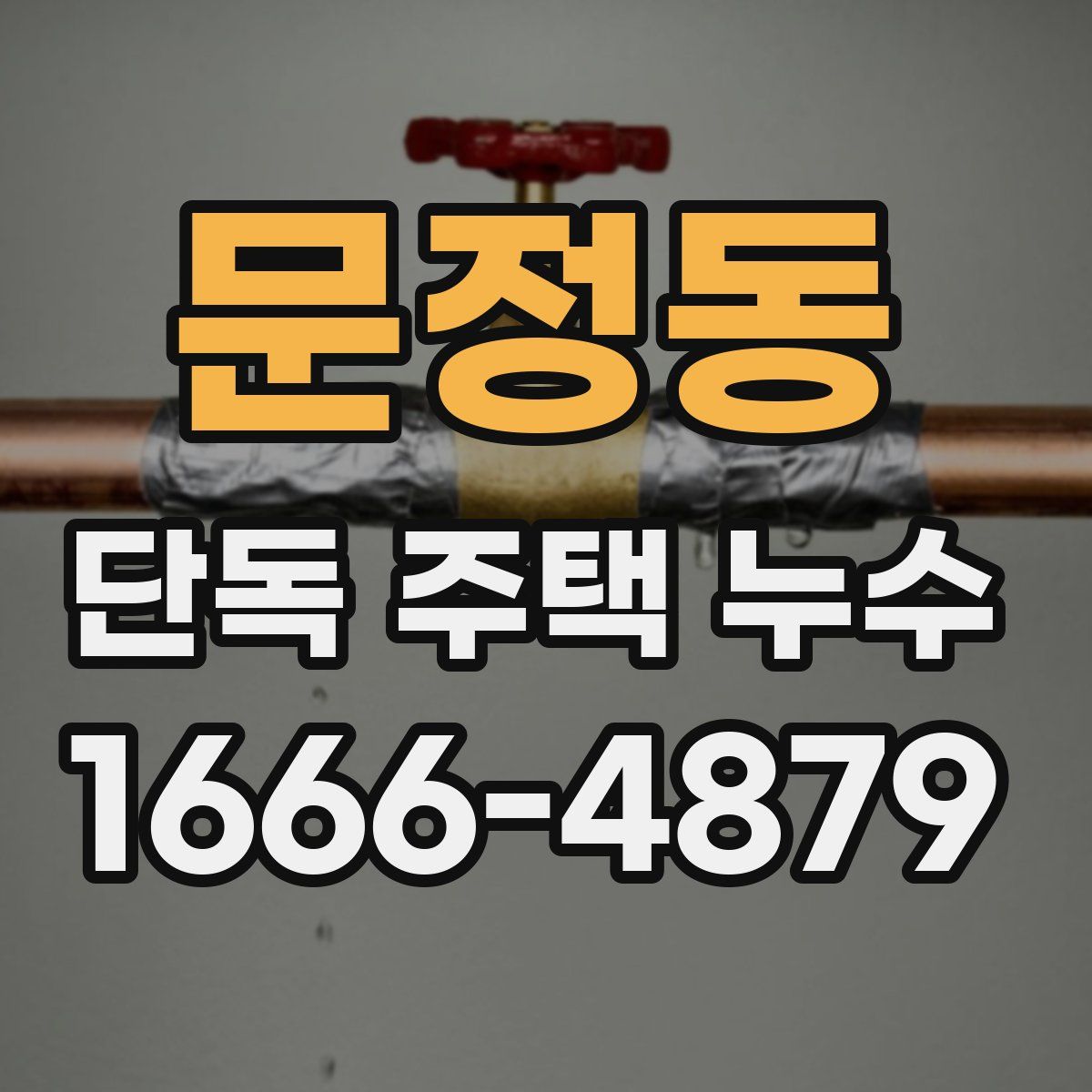 문정동 단독 주택 누수