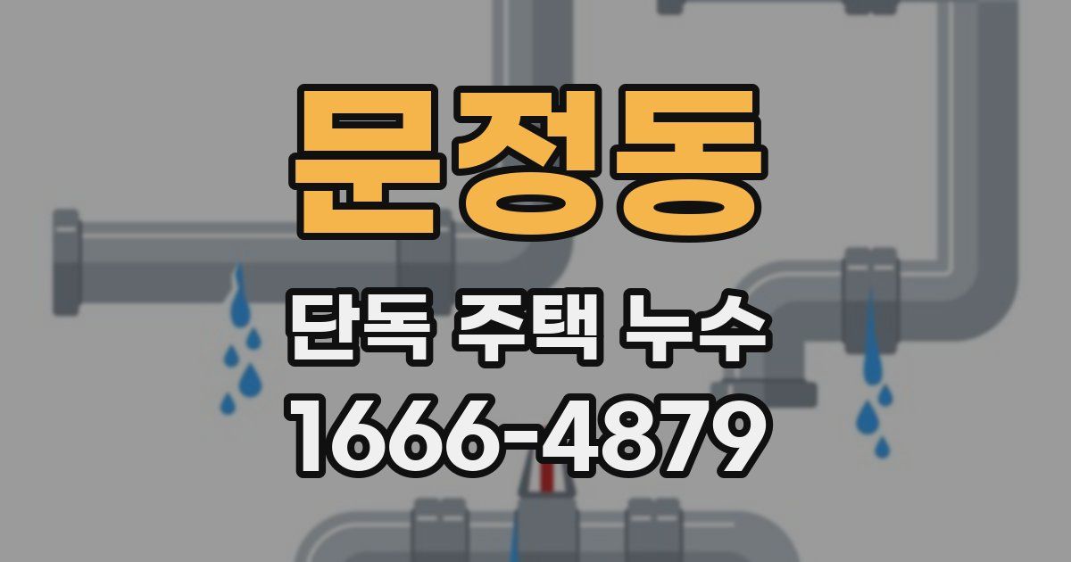 문정동 단독 주택 누수