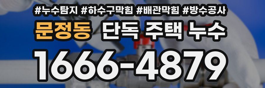 문정동 단독 주택 누수