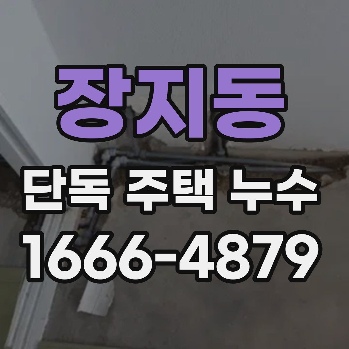 장지동 단독 주택 누수