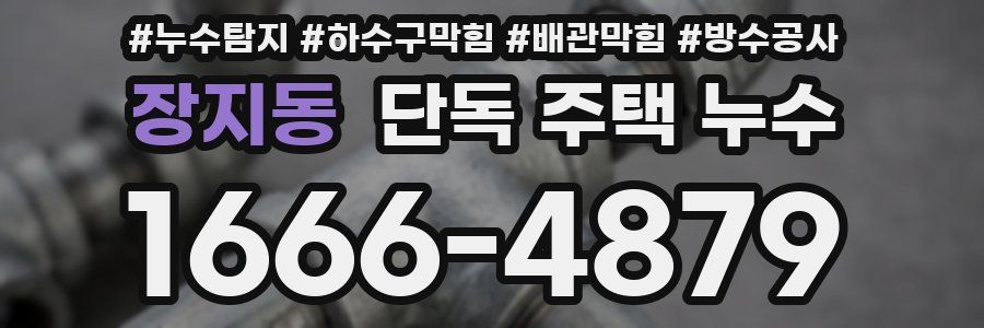 장지동 단독 주택 누수