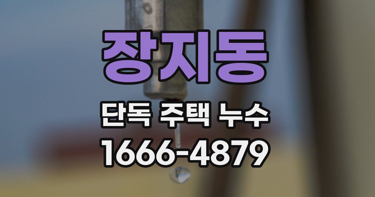 장지동 단독 주택 누수