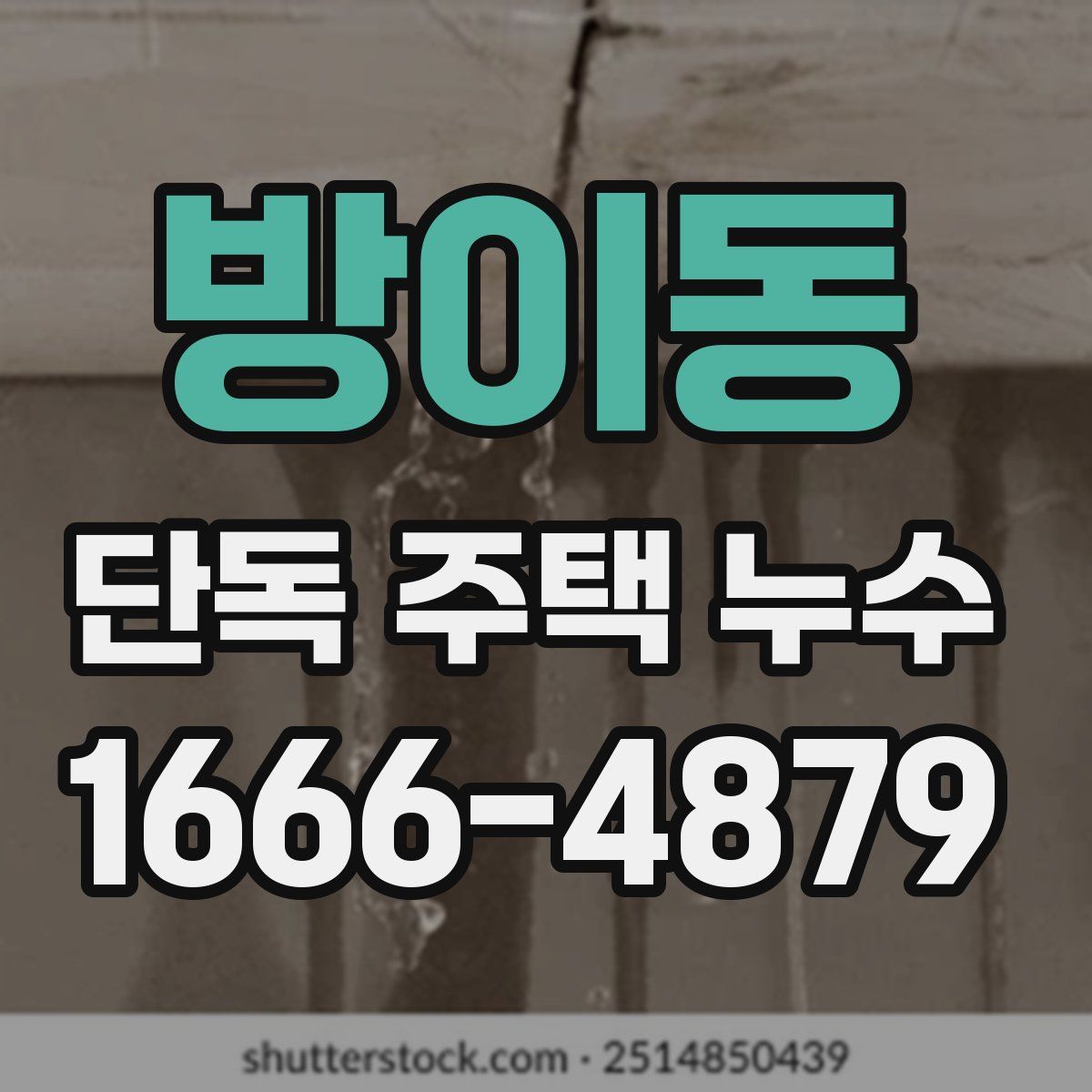방이동 단독 주택 누수