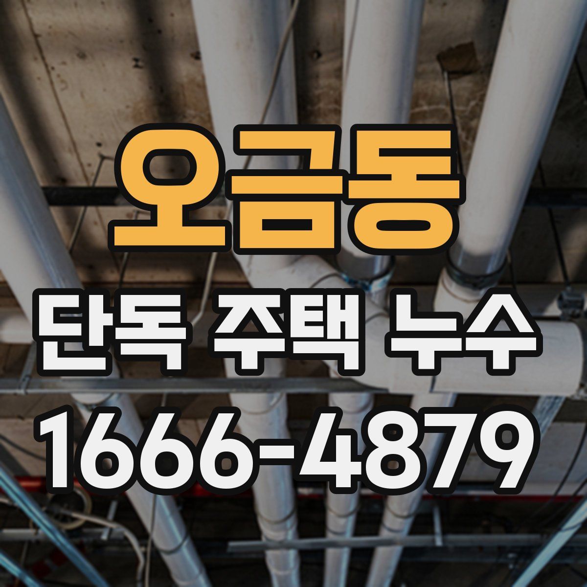 오금동 단독 주택 누수