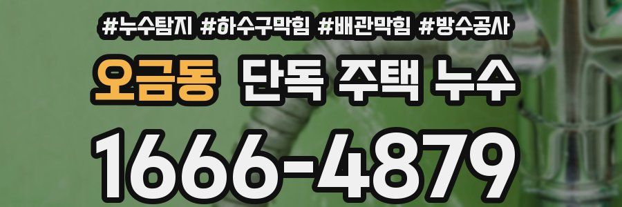 오금동 단독 주택 누수
