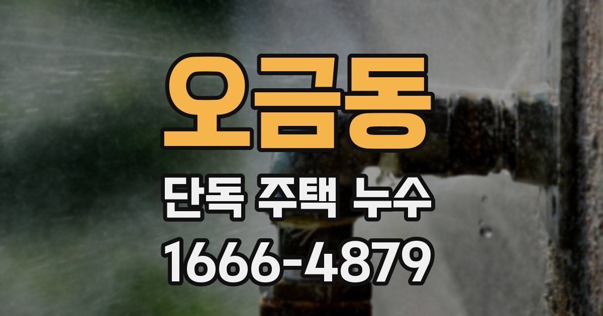 오금동 단독 주택 누수