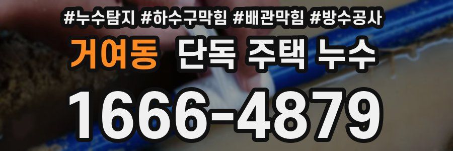거여동 단독 주택 누수