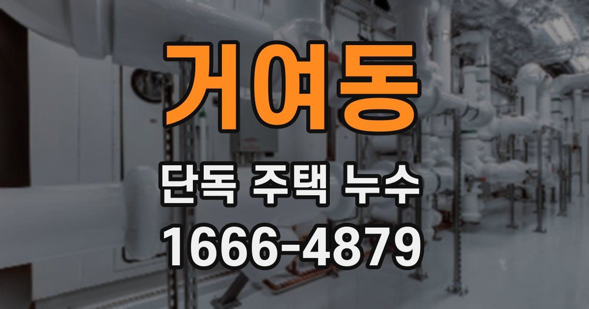 거여동 단독 주택 누수