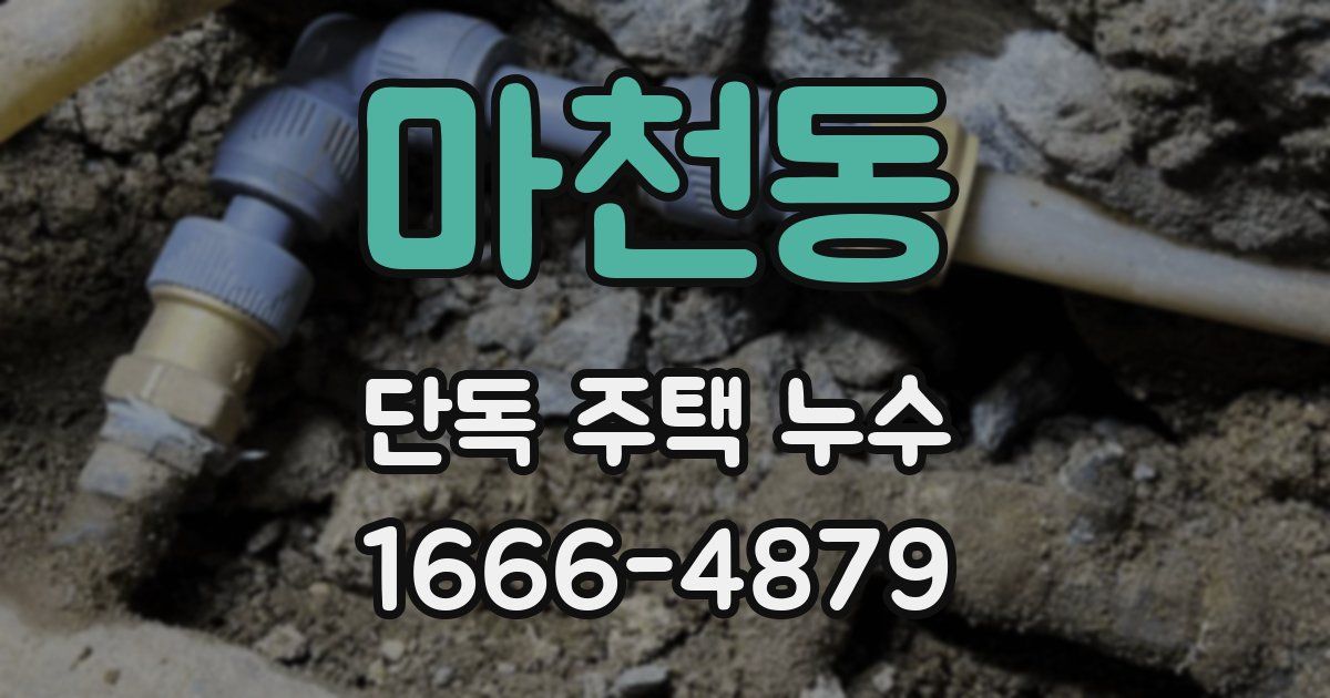 마천동 단독 주택 누수