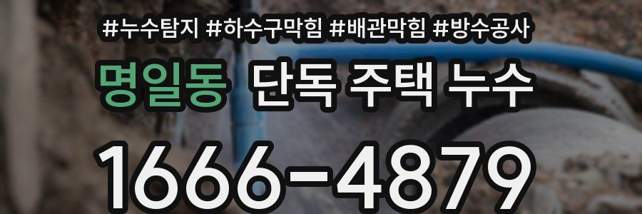 명일동 단독 주택 누수