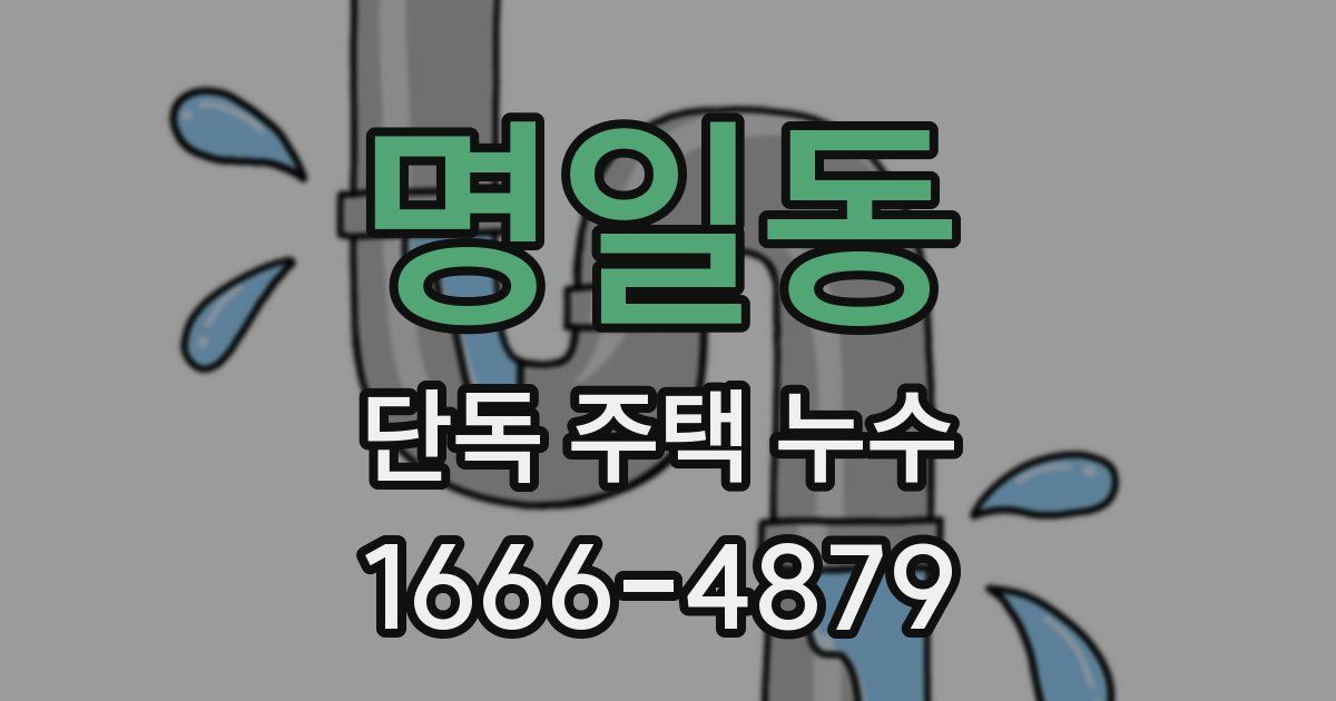 명일동 단독 주택 누수