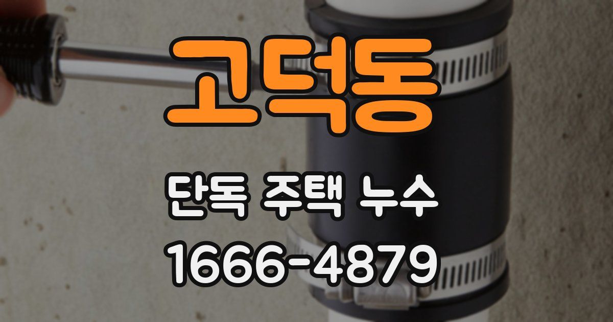 고덕동 단독 주택 누수