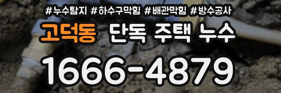 고덕동 단독 주택 누수