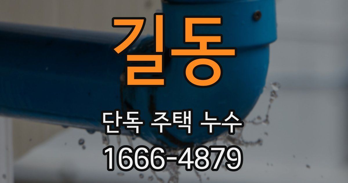 길동 단독 주택 누수