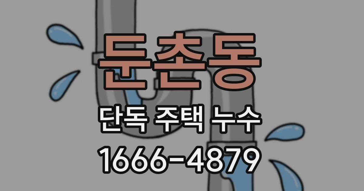 둔촌동 단독 주택 누수
