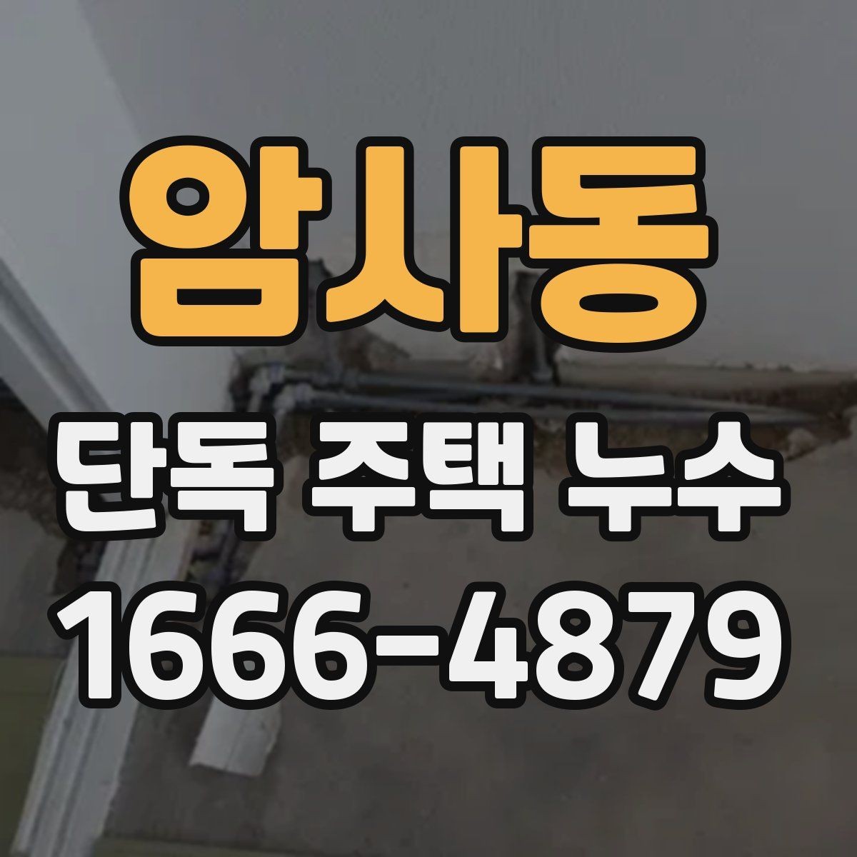 암사동 단독 주택 누수 실내 곰팡이와 함께 확인할 것