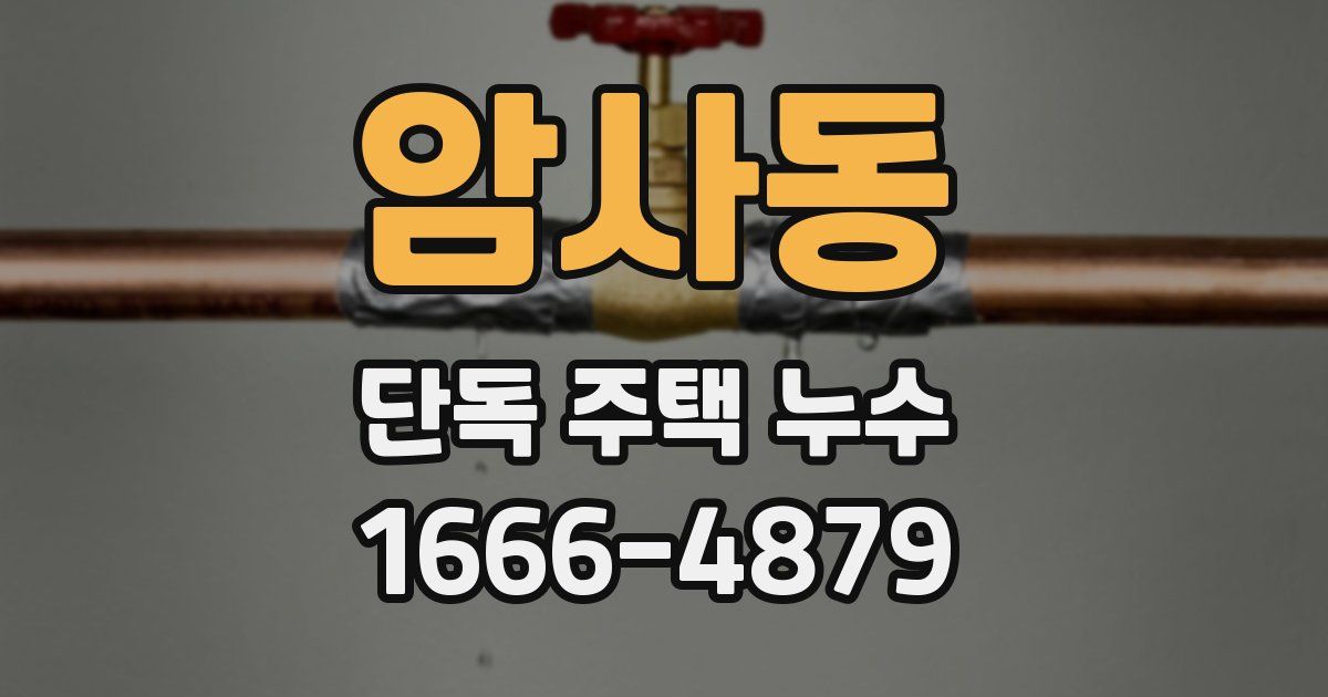암사동 단독 주택 누수