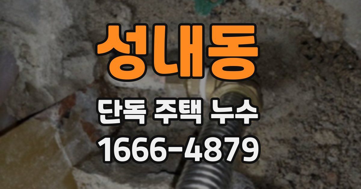 성내동 단독 주택 누수
