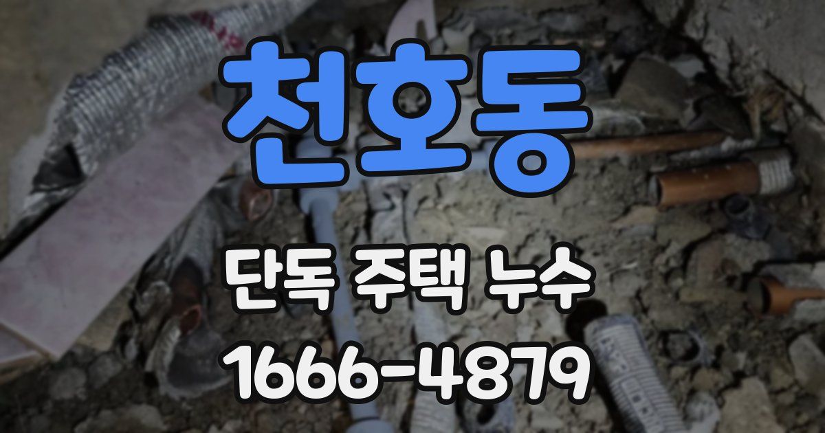 천호동 단독 주택 누수