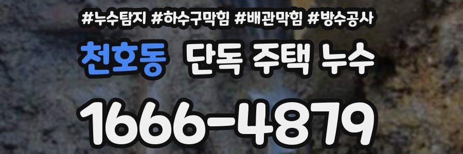 천호동 단독 주택 누수