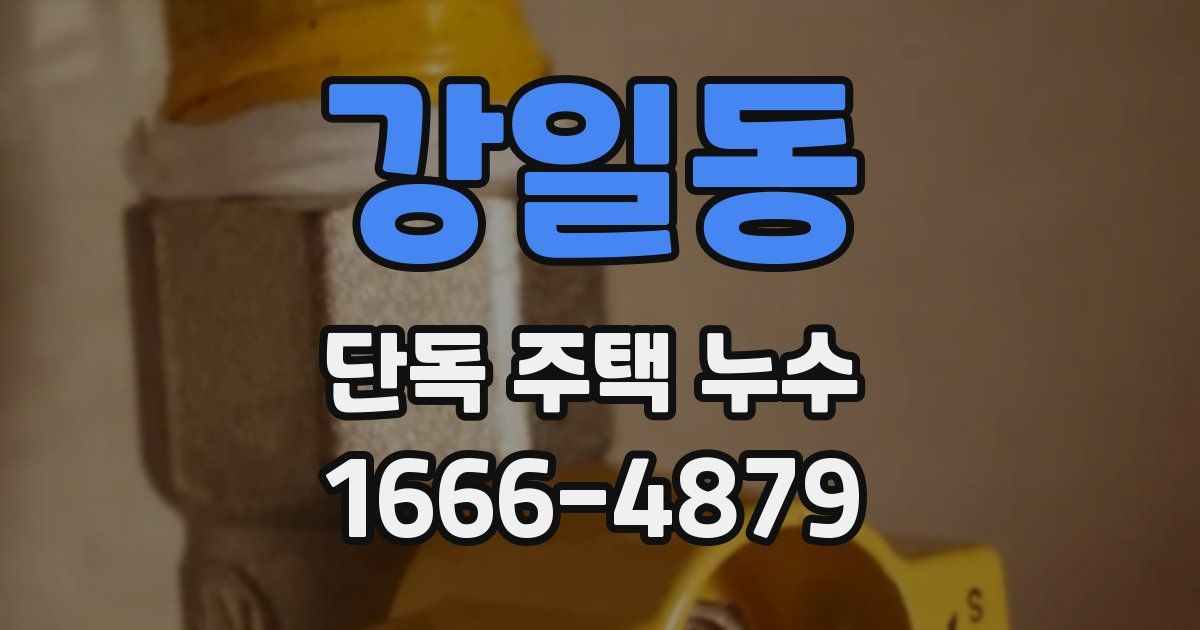강일동 단독 주택 누수