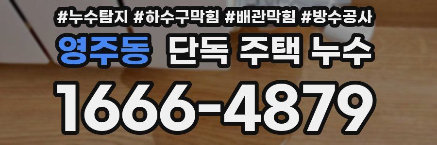 영주동 단독 주택 누수
