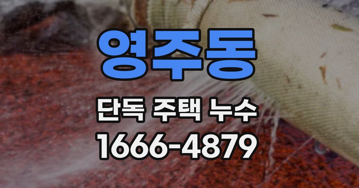 영주동 단독 주택 누수