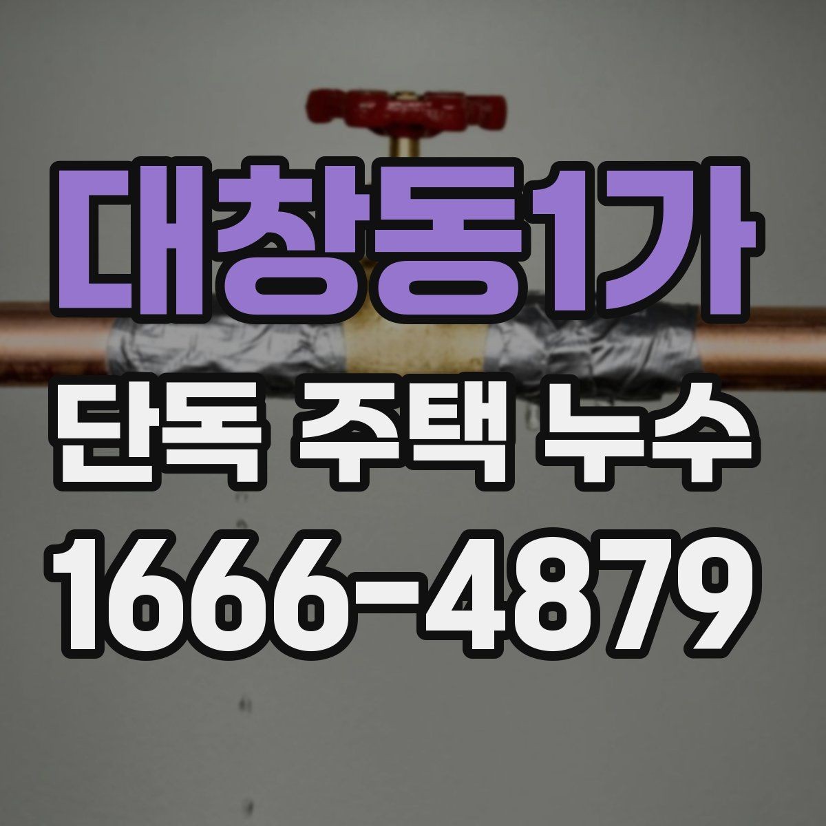 대창동1가 단독 주택 누수 탐지 후 보수 결정 기준