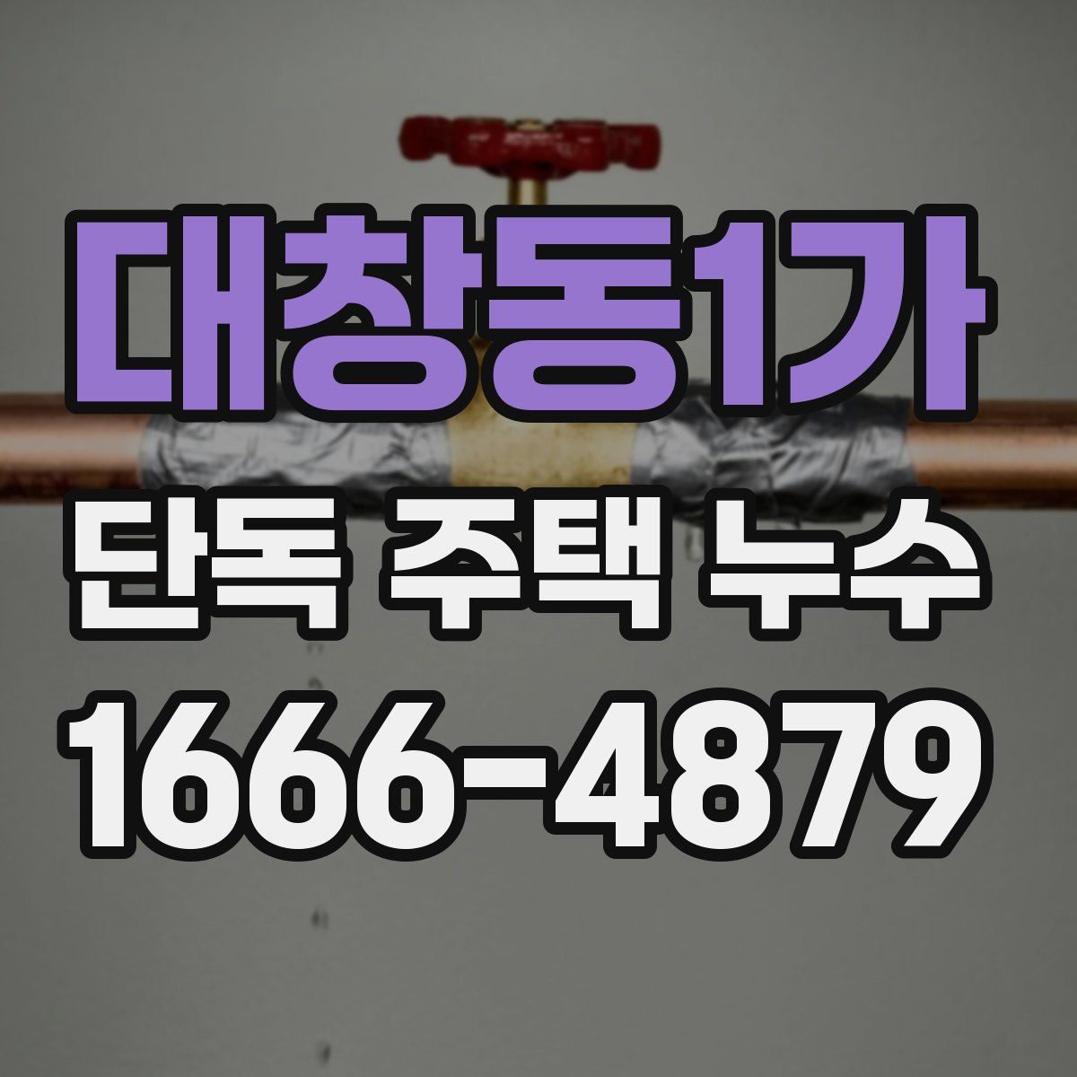 대창동1가 단독 주택 누수