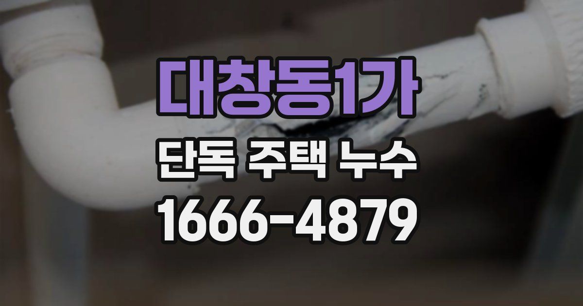 대창동1가 단독 주택 누수