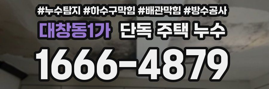 대창동1가 단독 주택 누수