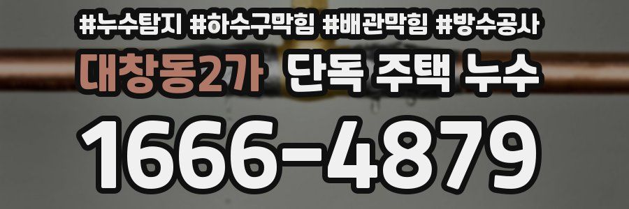 대창동2가 단독 주택 누수