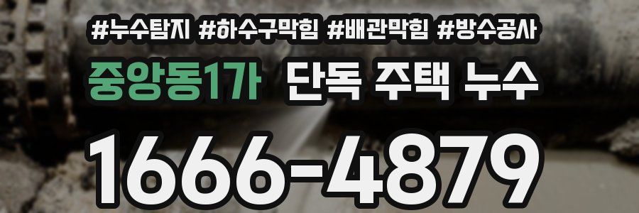 중앙동1가 단독 주택 누수