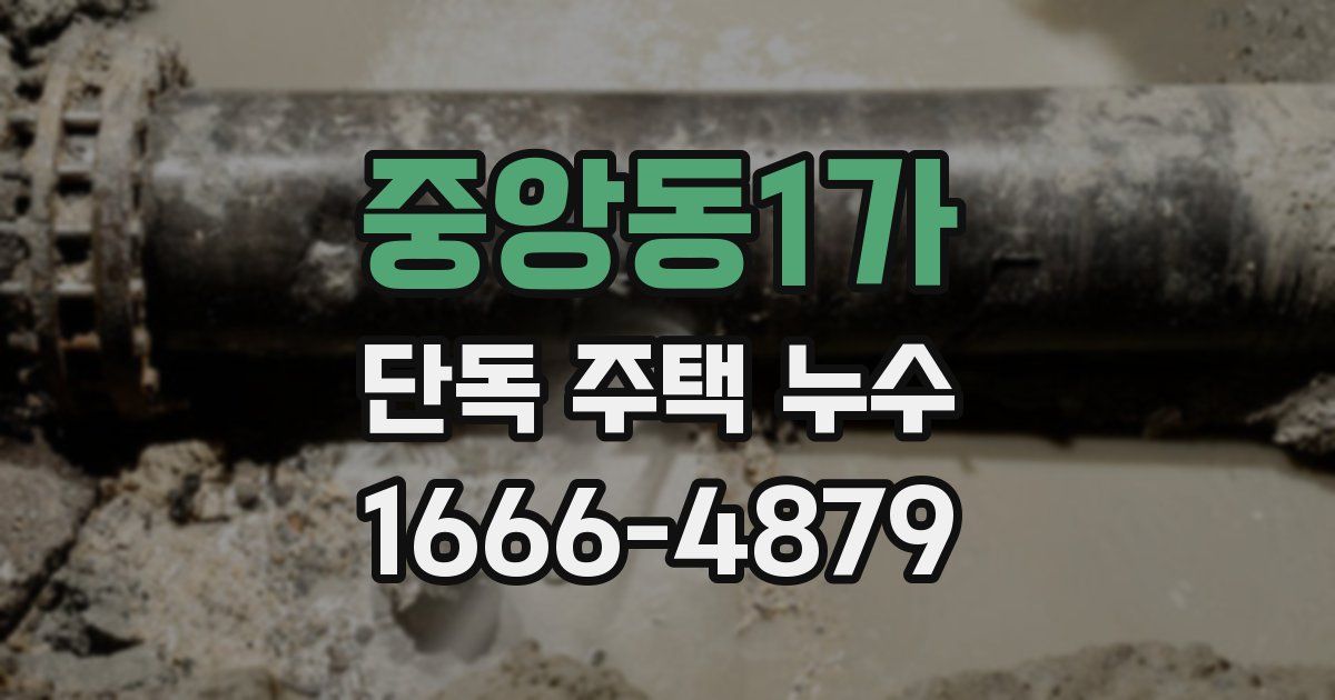 중앙동1가 단독 주택 누수