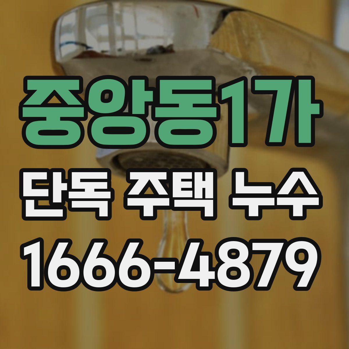 중앙동1가 단독 주택 누수