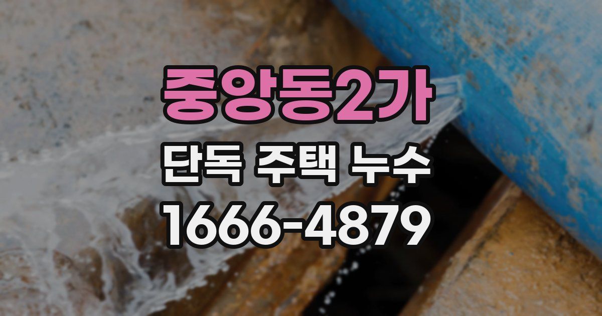 중앙동2가 단독 주택 누수