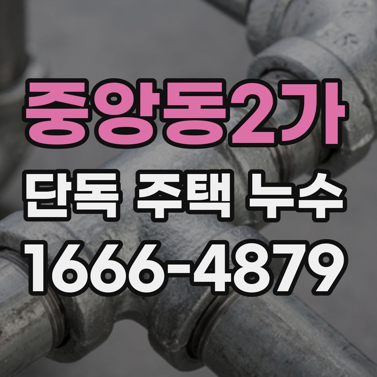중앙동2가 단독 주택 누수