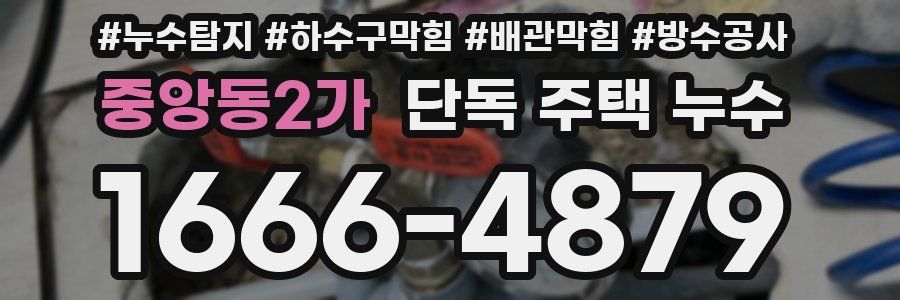 중앙동2가 단독 주택 누수