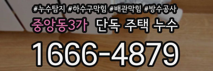 중앙동3가 단독 주택 누수