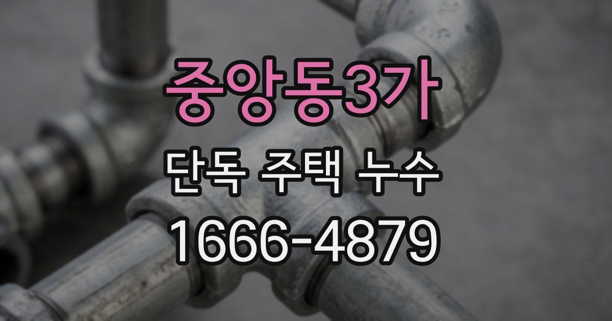 중앙동3가 단독 주택 누수