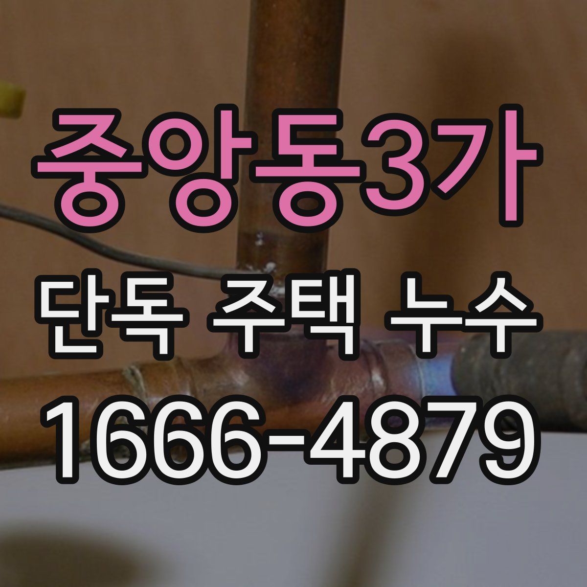 중앙동3가 단독 주택 누수