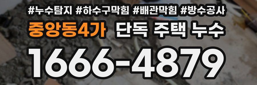 중앙동4가 단독 주택 누수