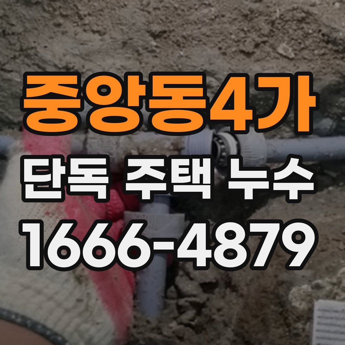 중앙동4가 단독 주택 누수