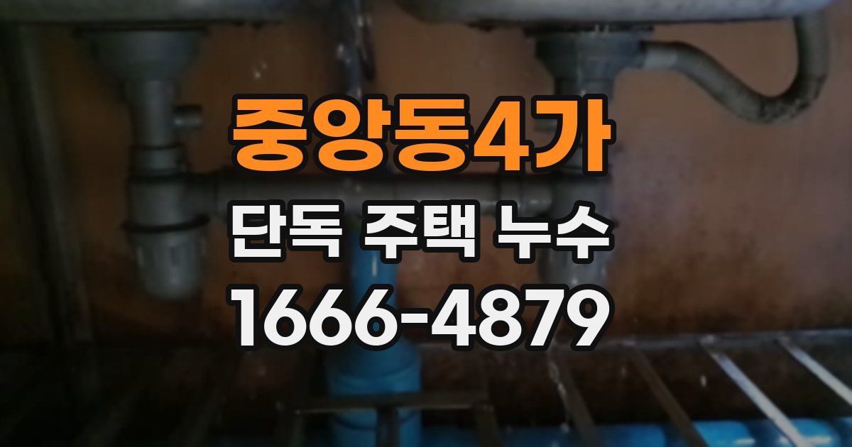 중앙동4가 단독 주택 누수