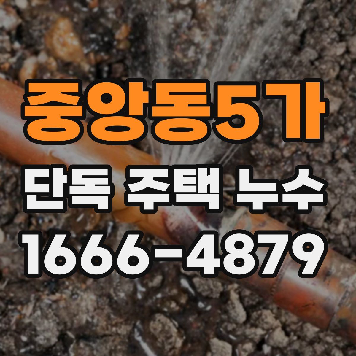 중앙동5가 단독 주택 누수