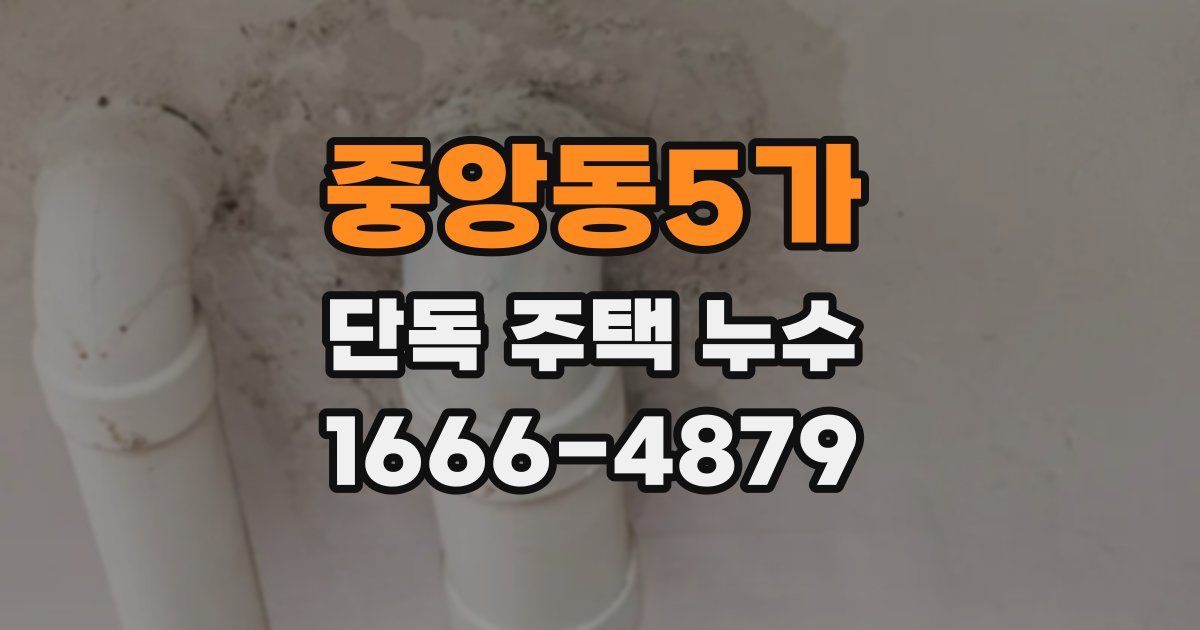 중앙동5가 단독 주택 누수