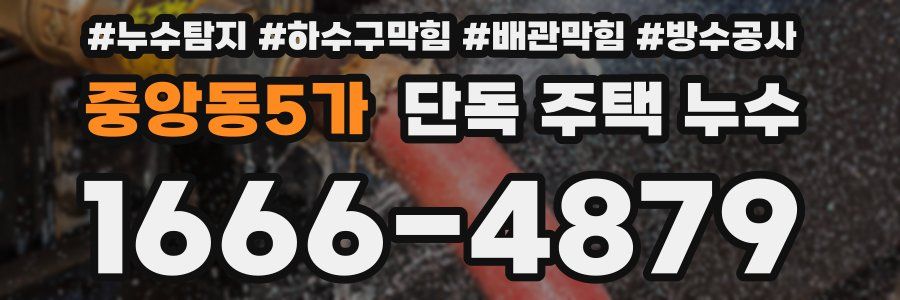 중앙동5가 단독 주택 누수