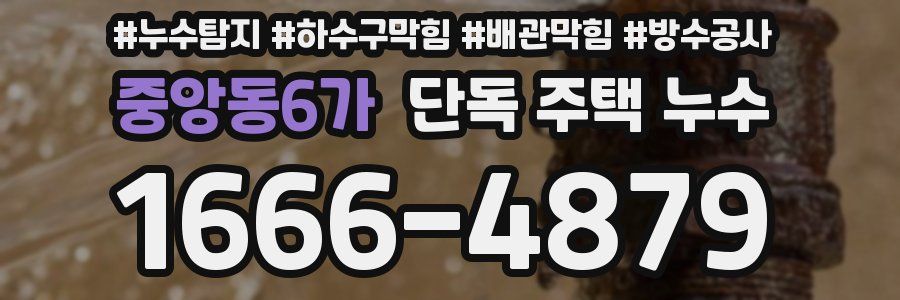 중앙동6가 단독 주택 누수