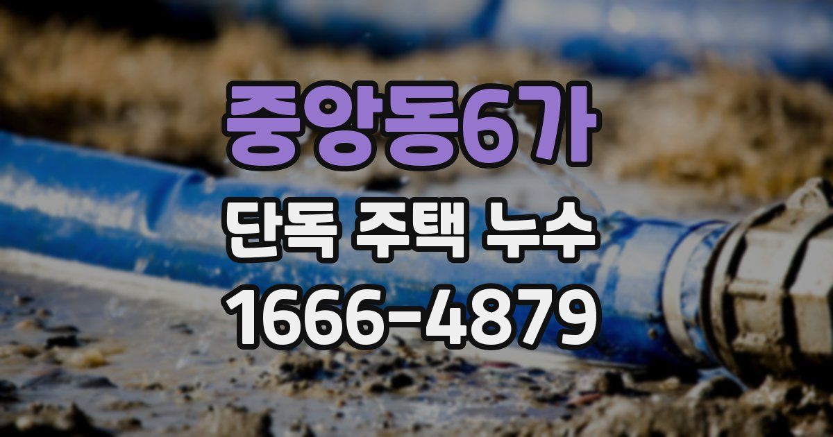 중앙동6가 단독 주택 누수