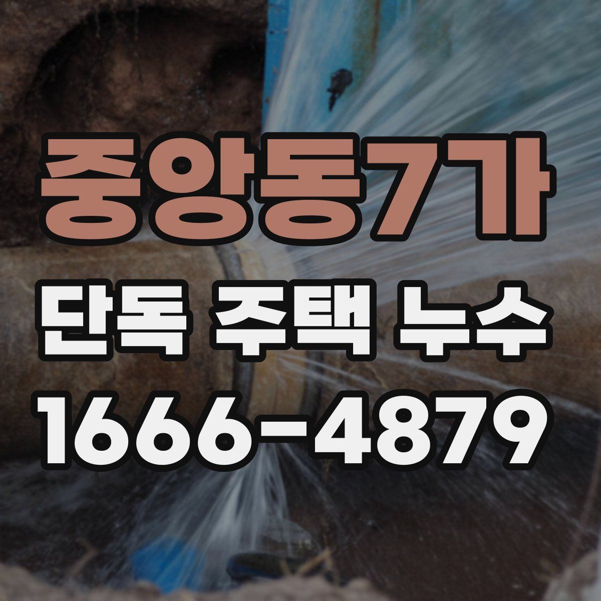 중앙동7가 단독 주택 누수